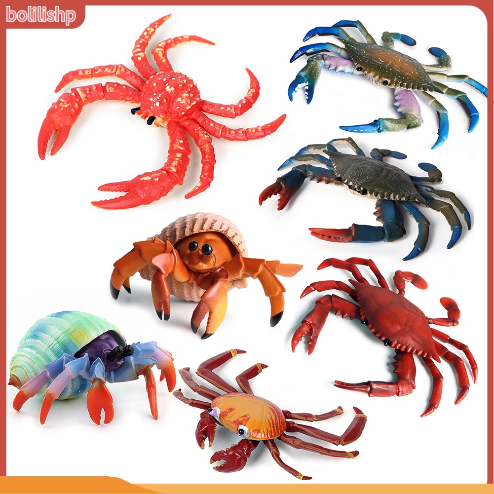 &lt;Bolilishp&gt; Simulation Hermit Crab Marine Animal PVC Model Desktop Decor Education Kids Toy