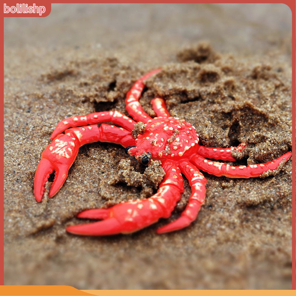 &lt;Bolilishp&gt; Simulation Hermit Crab Marine Animal PVC Model Desktop Decor Education Kids Toy