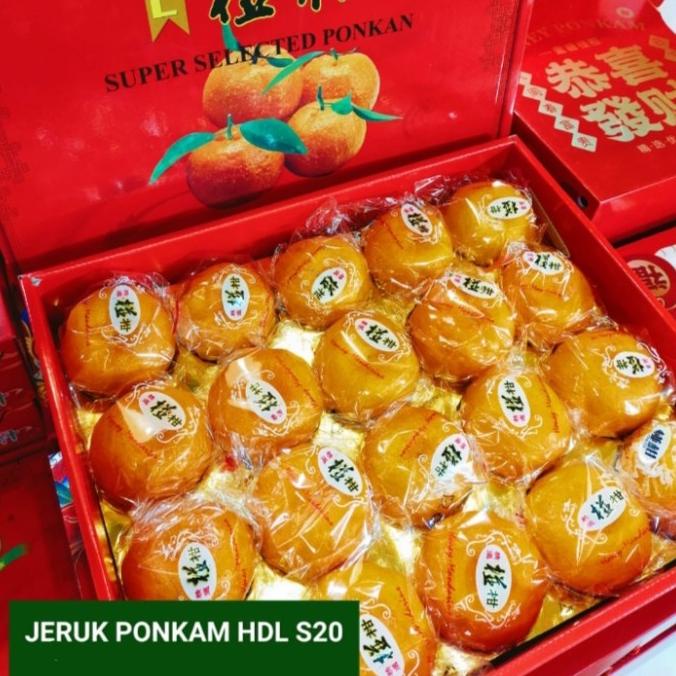 

{{{{{{] JERUK PONKAM HDL S20 180155 jeruk PONKAM hempers imlek buah jeruk sega