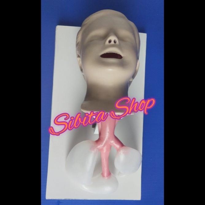 Phantom Intubasi Anak |Manikin|Anatomi|Alat Peraga