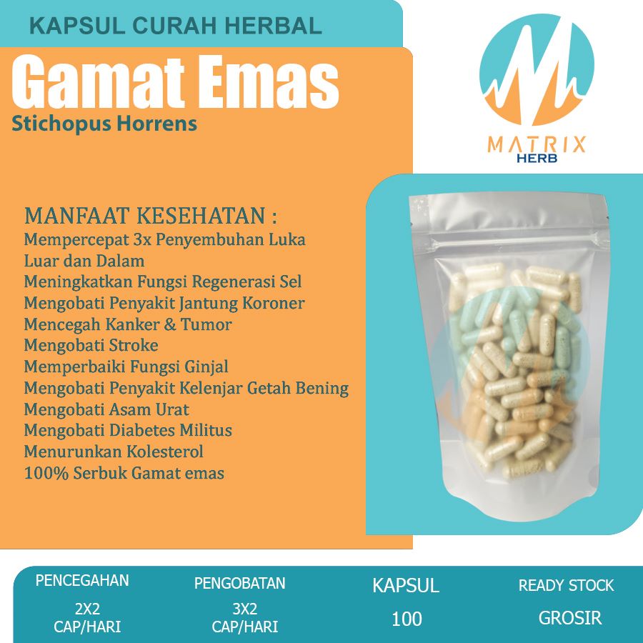 GAMAT EMAS 100 Kapsul Penyembuhan Luka Kista Lupus Anti Aging Libido