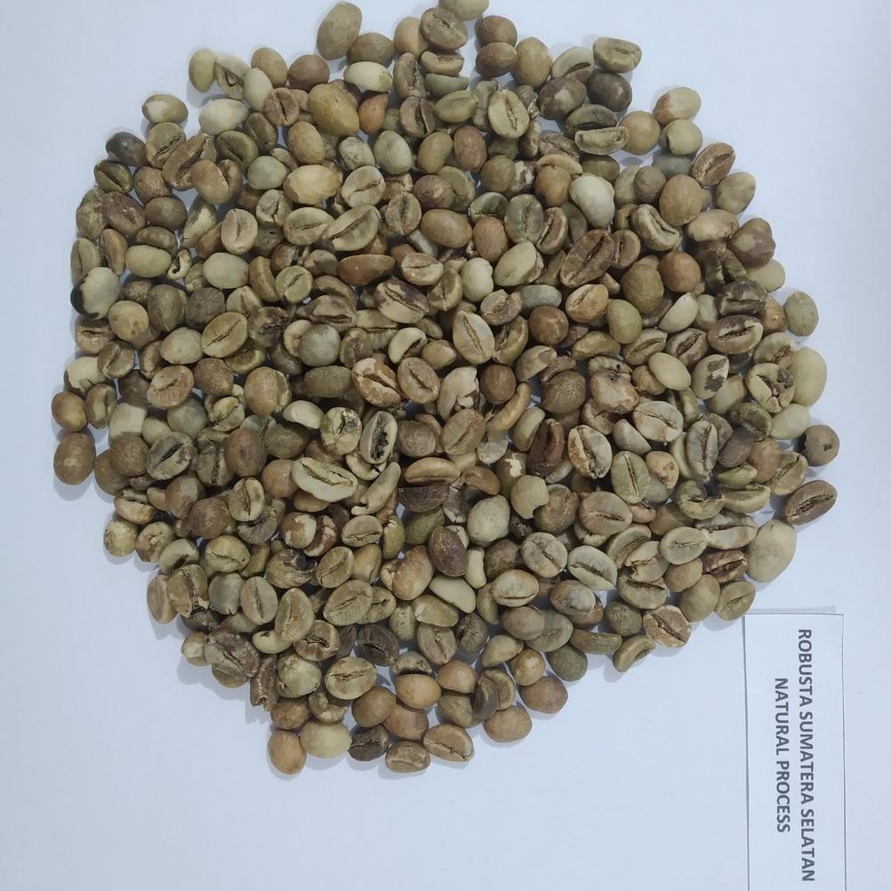 

1Kg - Kopi Robusta Lampung/Sumatera Selatan G4 C/80 (Green Bean ) - Natural Process