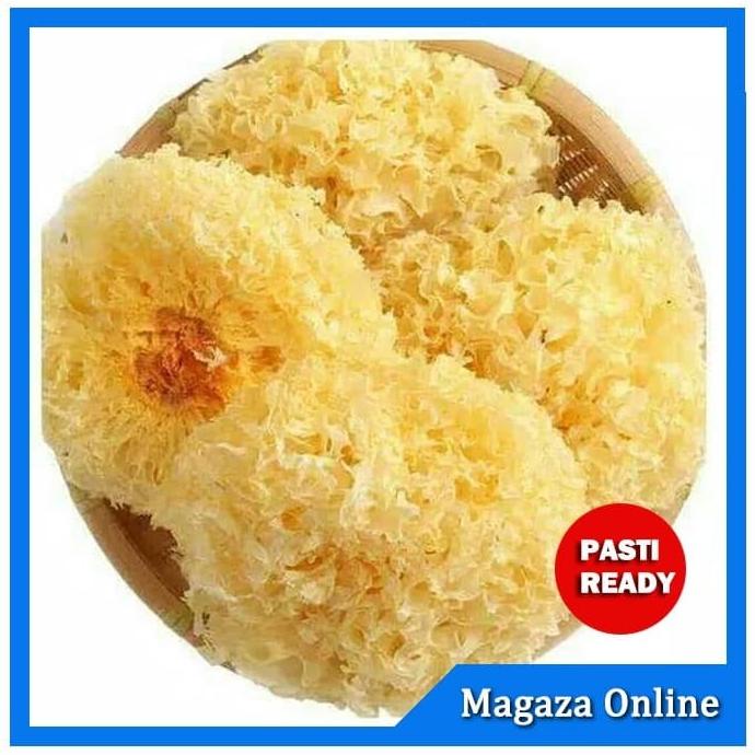 

*$*$*$*$] Jamur Salju / Jamur Putih / Snow White Fungus