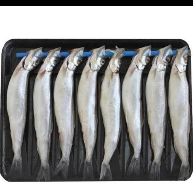 

Ikan Shisamo / Capelin Fish 170gr
