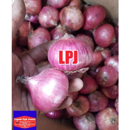 

[KODE PRODUK 7DMNW5796] Bawang MERAH PEKING - 1 Kg - LPJ