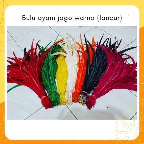 

Terlaris Bulu Ayam Jago Lancur Warna Warni Panjang Isi 50 Pcs - Aksesoris