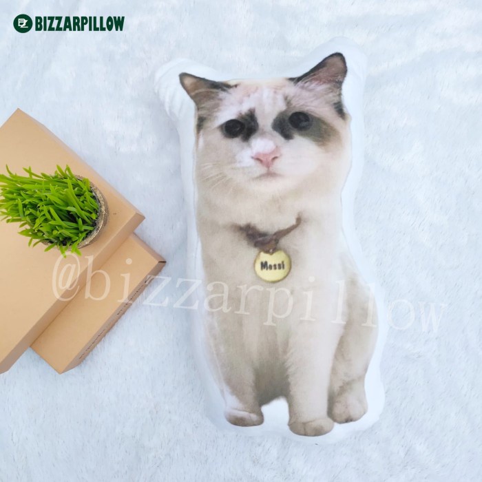 Terlaris Bantal Anabul Custom Anjing / Kucing Size M