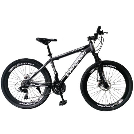 Terlaris Sepeda Mtb 26 Evergreen Discbrake Murah
