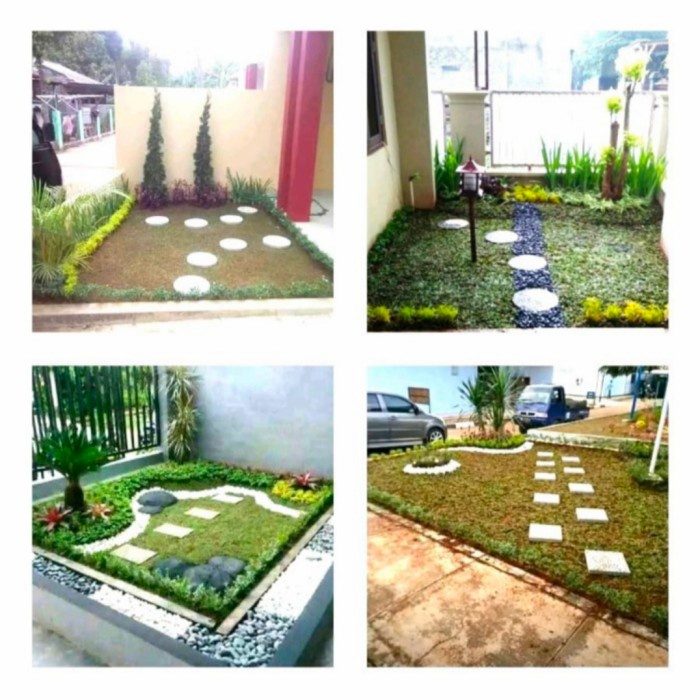 MUST HAVE TANAMAN HIAS PAKET 6 JENIS TANAMAN TERLARIS