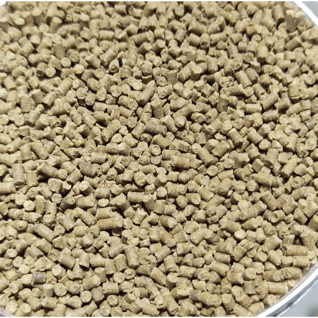 TERBARU FENGLI 3L Pakan Udang Tengelam Pelet Udang Lobster air tawar kemasan 1kg