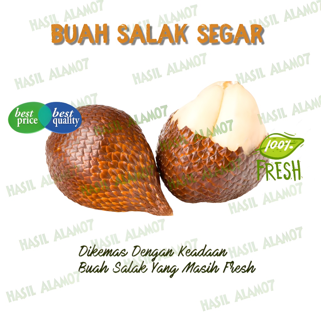 

Buah Salak Pondoh Segar Fresh 1 Kg