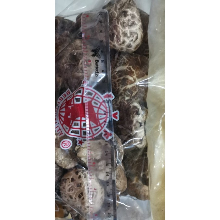 

JAMUR PAYUNG/SIANGKU/SHITAKE Repack 100gr