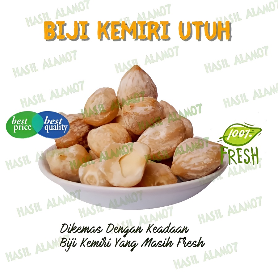 

Rempah Kemiri Bulat Utuh Bumbu Masak 250 Gram