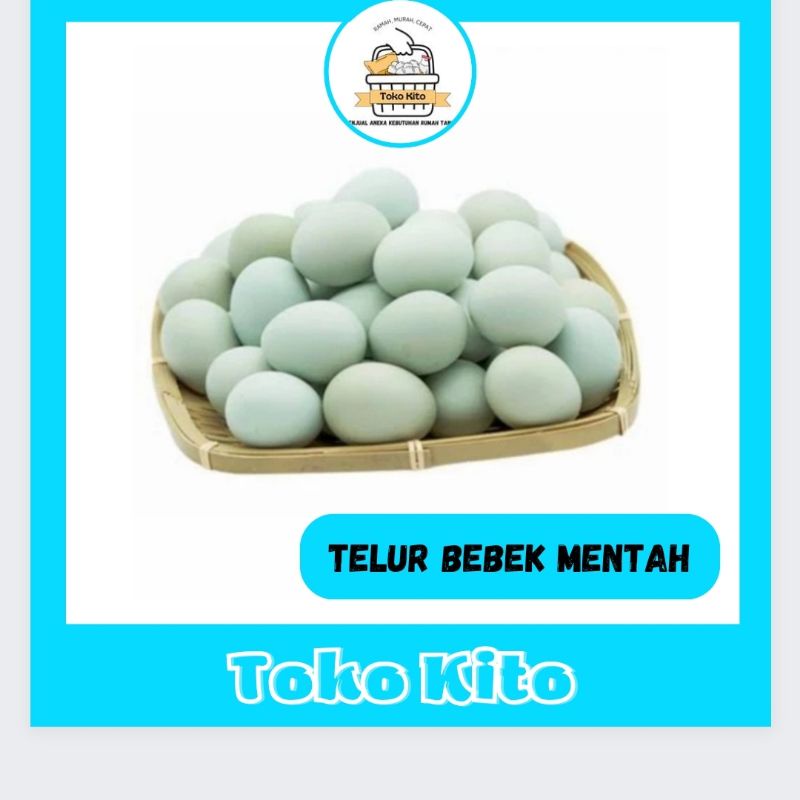 TELUR BEBEK / TELUR BEBEK MENTAH / TELUR BEBEK SEGAR