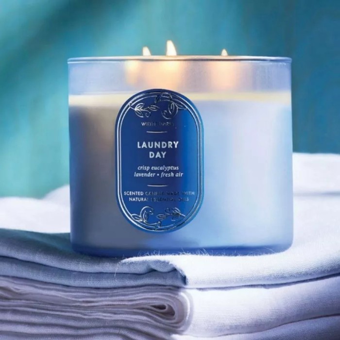 HOT SALE BATH AND BODY WORKS BBW LAUNDRY DAY 3 WICK CANDLE 411G TERBARU