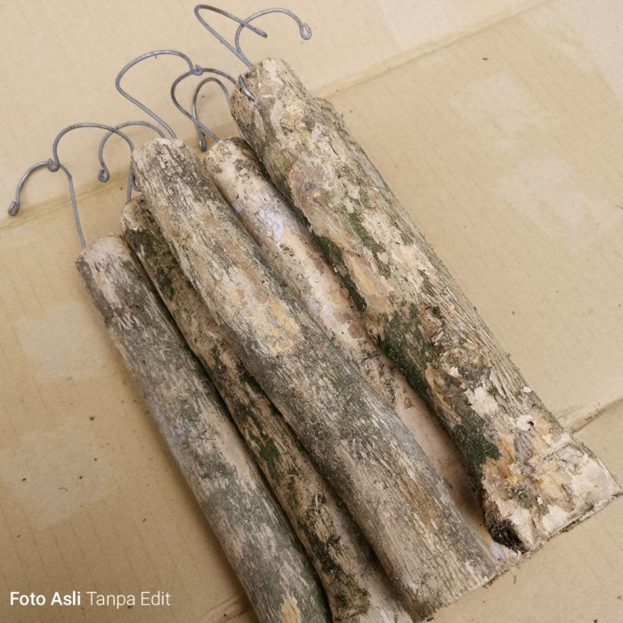 DISKON SPESIAL TERBAIK KAYU KOPI BULAT - MEDIA ANGGREK TERBARU