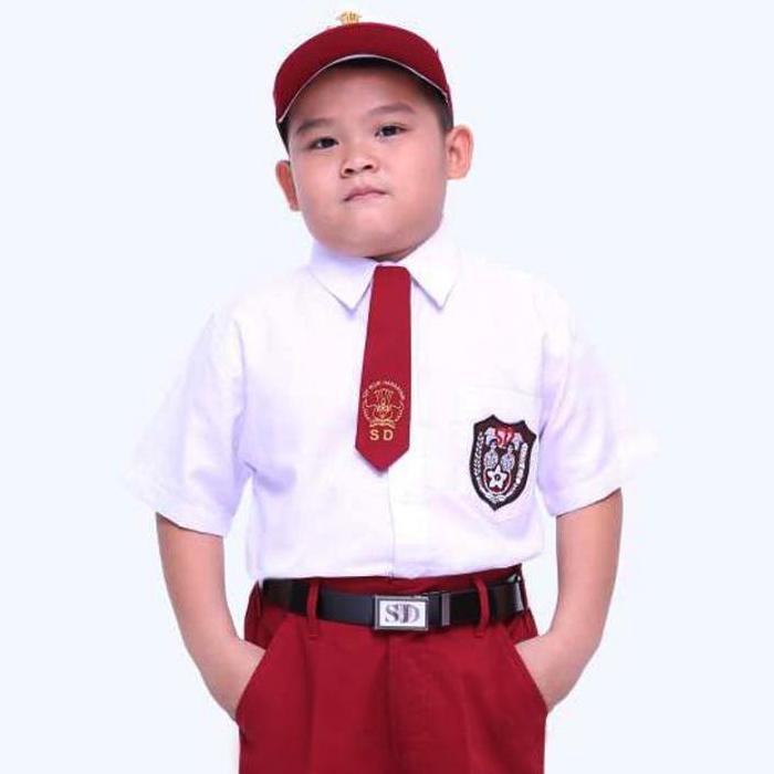 Seragam Sekolah Kemeja SD Putih Lengan Pendek anak Laki Laki