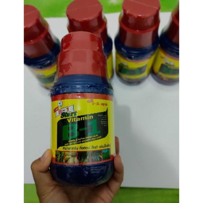 8.8 Sale Pupuk Vitamin B1 Thailand Original 500 Ml