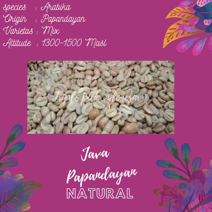 

Green Bean / Biji Kopi Arabika Java Papandayan - Natural