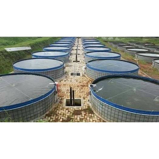 kolam terpal bulat Diameter 3 T.1. fullset