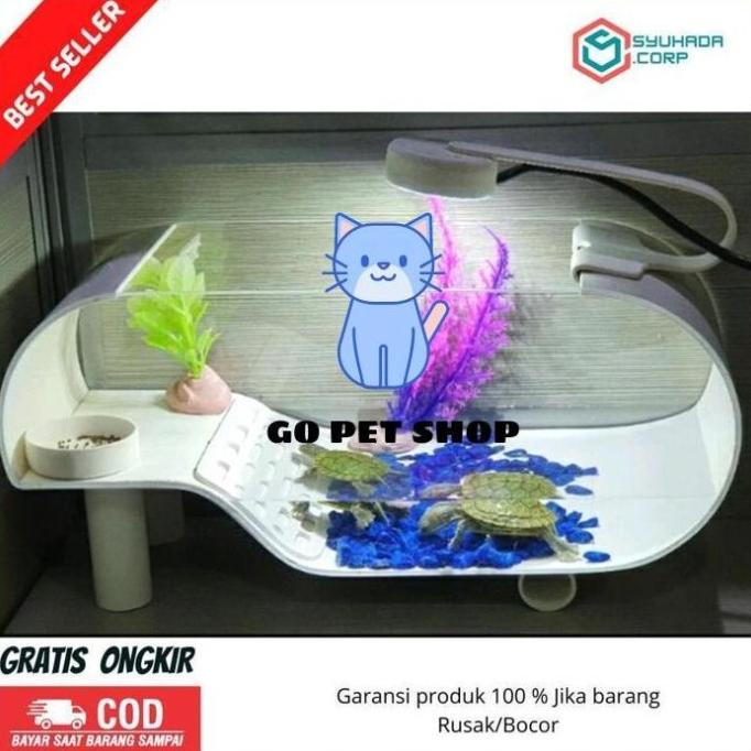 Aquarium kura kura Akuarium kura kura brazil lengkap dengan batu bunga
