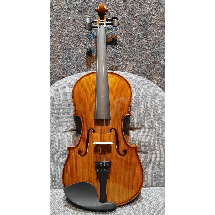 Terlaris Skylark Violin/Biola Size 4/4