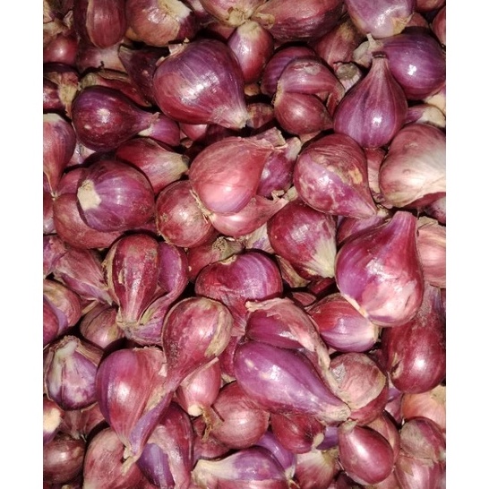 

BDZQ9298㊨ BAWANG MERAH BREBES ASLI SUPER 1kg ㊍