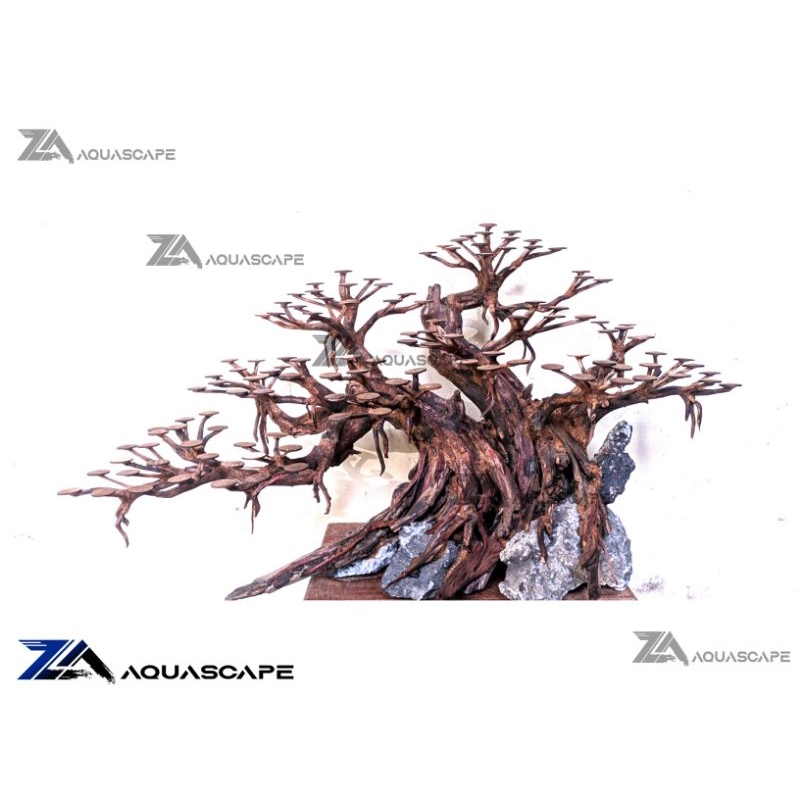 Artavela45 Bonsai Aquarium Bonsai Aquascape Hiasan Aquarium Aquascape Bonsai Aquascape