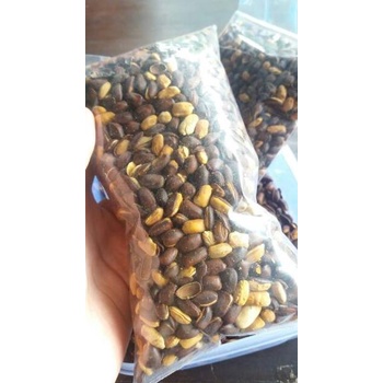 

New ||| 500Gr Munggur/Godril / Biji Trembesi Goreng