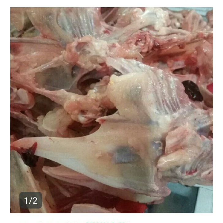 

tulang rangu ayam 1kg