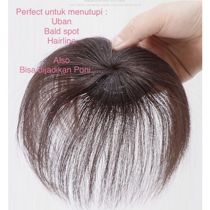 WD Mini Hairpiece / Real Human Hair / Wig Rambut Palsu Asli Manusia
