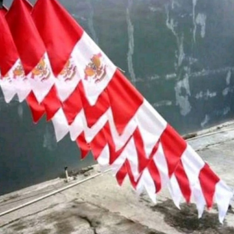 SubsidiMm3M7 Umbul umbul 10 mata zig zag MERAH PUTIH( 3,4 METER)