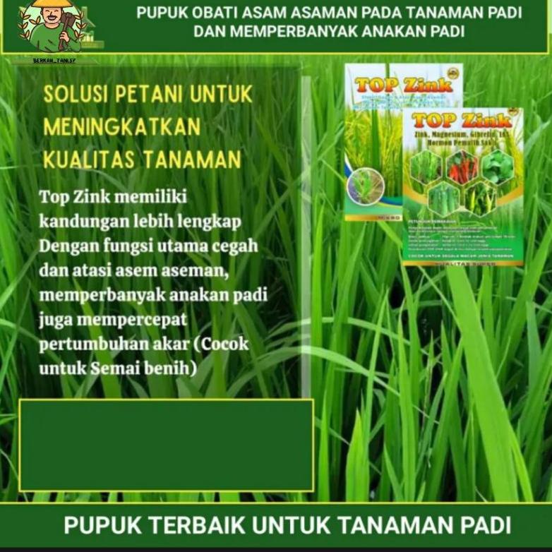 COD Pupuk  ZINK 150gr || Perbanyak Anakan Padi & Mengobati Asem Aseman || Obat Semprot Padi || Penyu