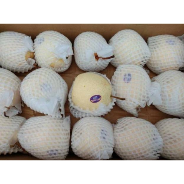 

HOT PROMO BUAH PIR MADU / SWEET PEAR MANIS 1KG