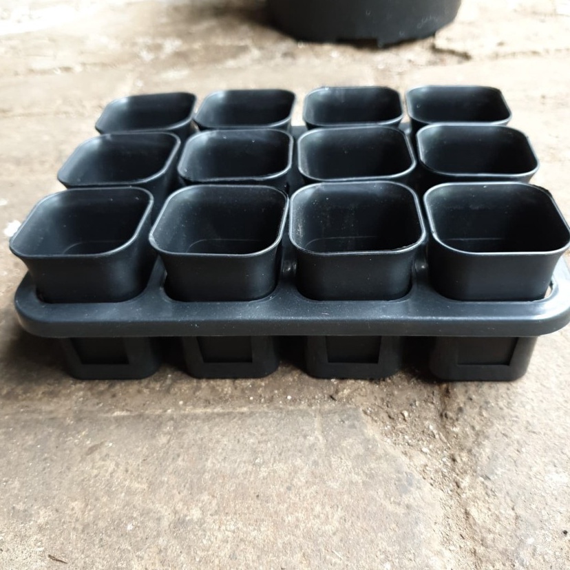 Lrn TRAY POT KOTAK 5 cm / TRYPOT KOTAK 5 cm ( DENGAN POT KOTAK 5 12 BH) HITAM ➘ ✩❥