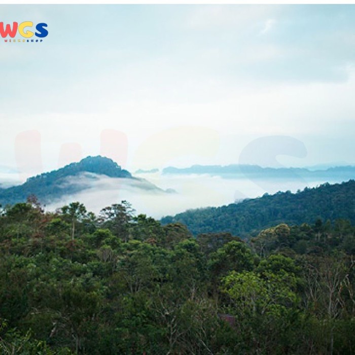 

Key Coffee Toarca Toraja Blend Coffee Beans 200 gr