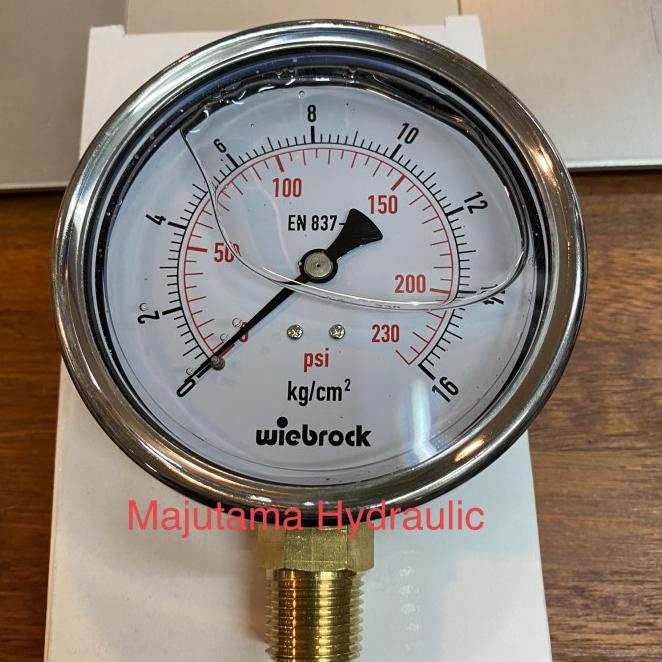 Pressure Gauge 4 Inch 0-16 Bar Stainless