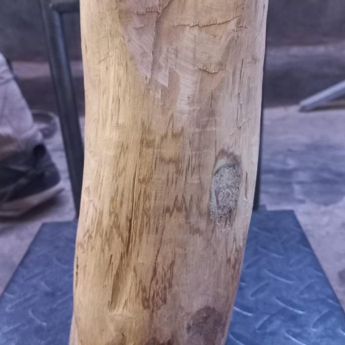 <<<<<] Kayu cendana Batangan kupang asli 100% 2