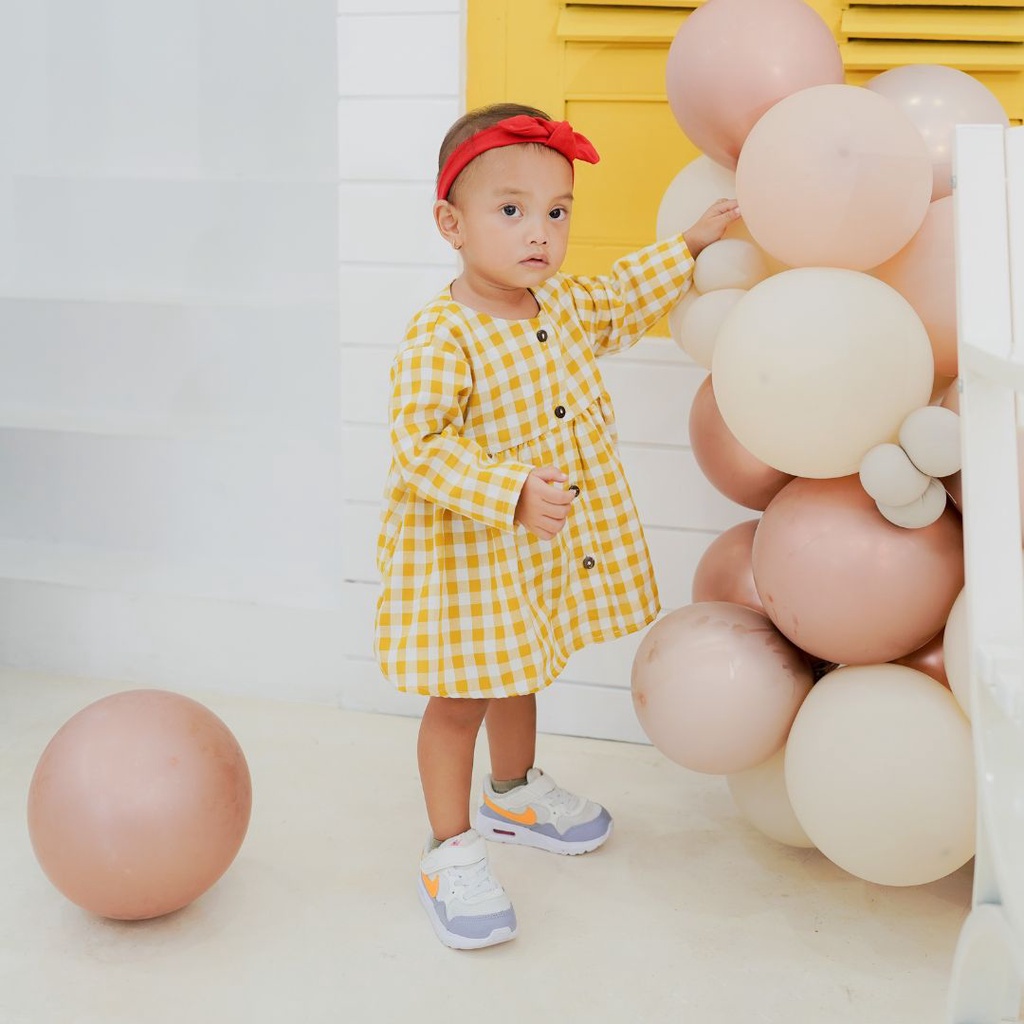 Cotton Kingdom Raina Gingham Dress