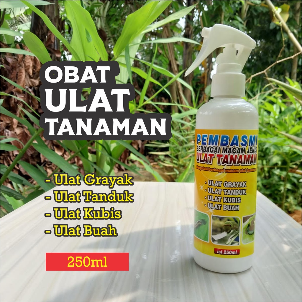 OBAT HAMA TANAMAN ULAT | membasmi semua jenis ulat tanaman ukuran 250ml