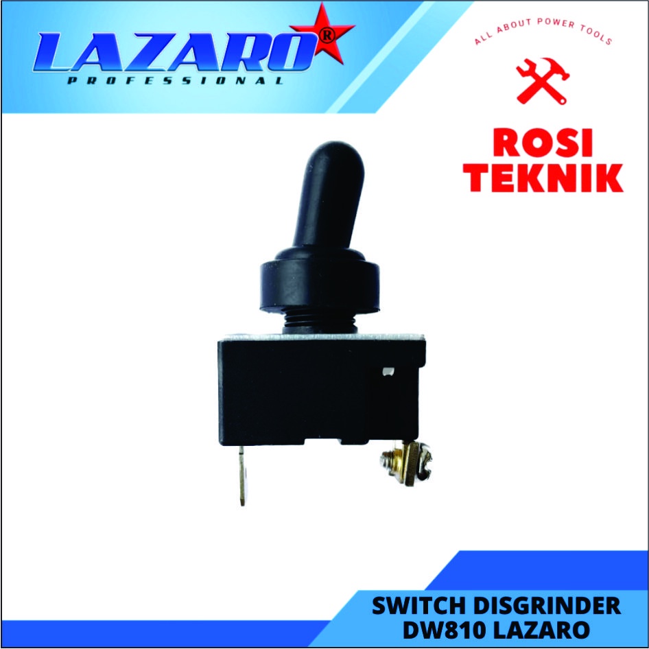 Switch Disgrinder DW810 LAZARO