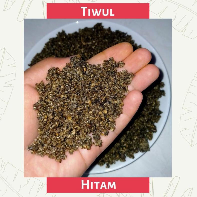 

Terbaru Tiwul Hitam Instan 500 Gram