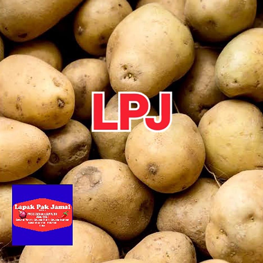 

GROSIR_JAKARTA Kentang DIENG KUNING - 1 Kg - LPJ