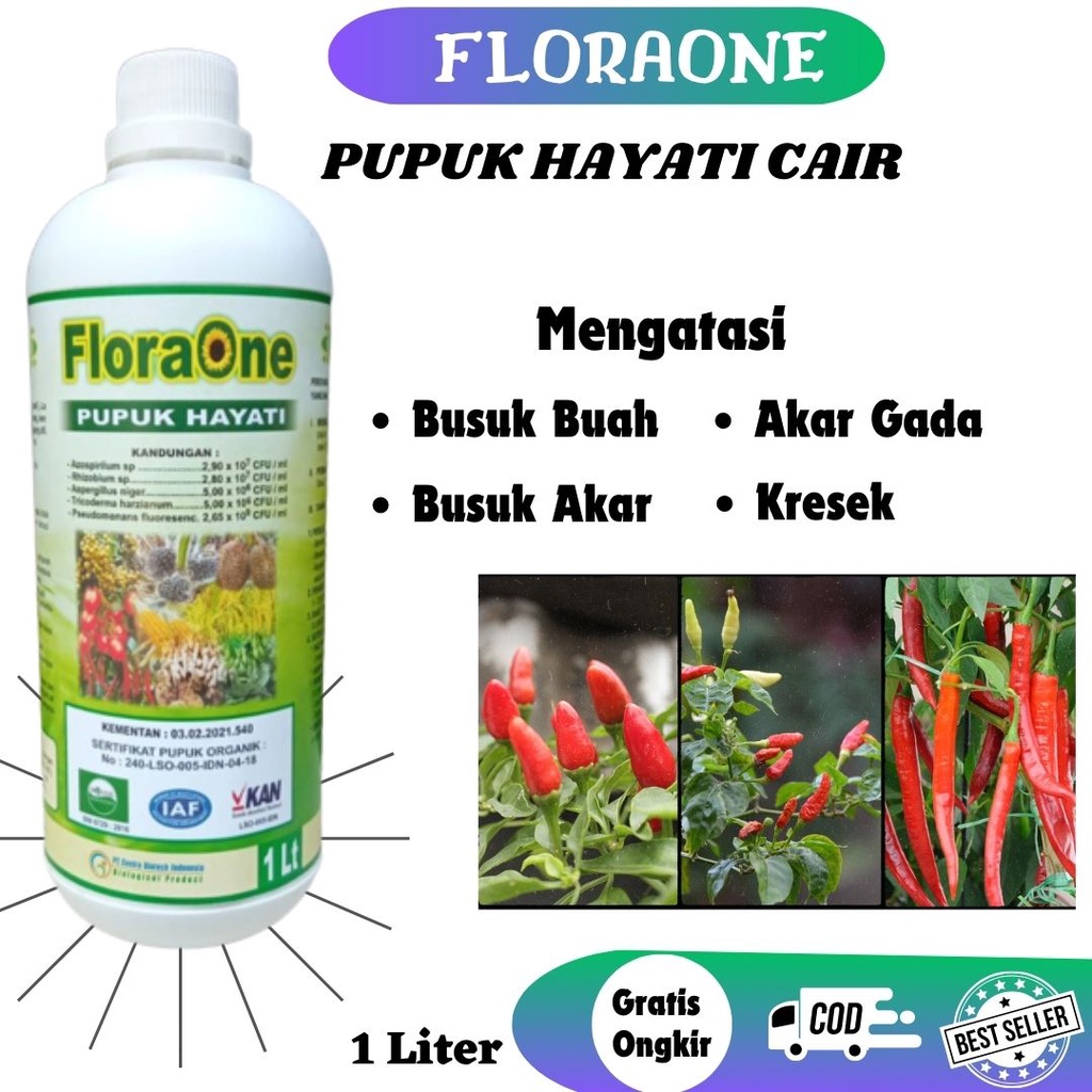 Pupuk PGPR Rhizobium Sp, Pupuk Hayati Cair, Tricoderma Pupuk Layu Fusarium Sayuran-Buah-Buahan