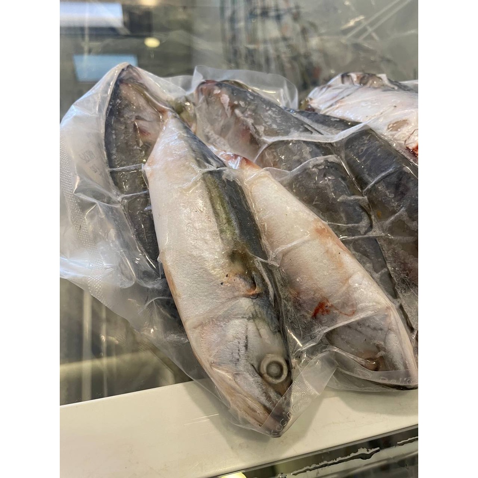 

Ikan Kembung Fresh Frozen