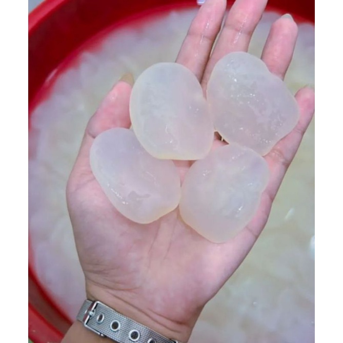 

KOLANG KALING FRESH 1KG