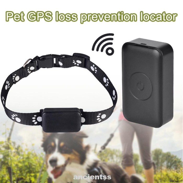 Terlaris Kalung Anjing Dan Kucing Multifungsi Dengan Gps