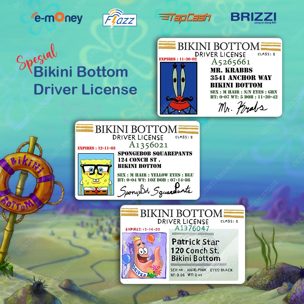 KARTU E MONEY E TOLL BRIZZI BRI FLAZZ BCA GEN 2 E MONEY MANDIRI TAPCASH BNI SERI BIKINI BOTTOM DRIVER LICENSE