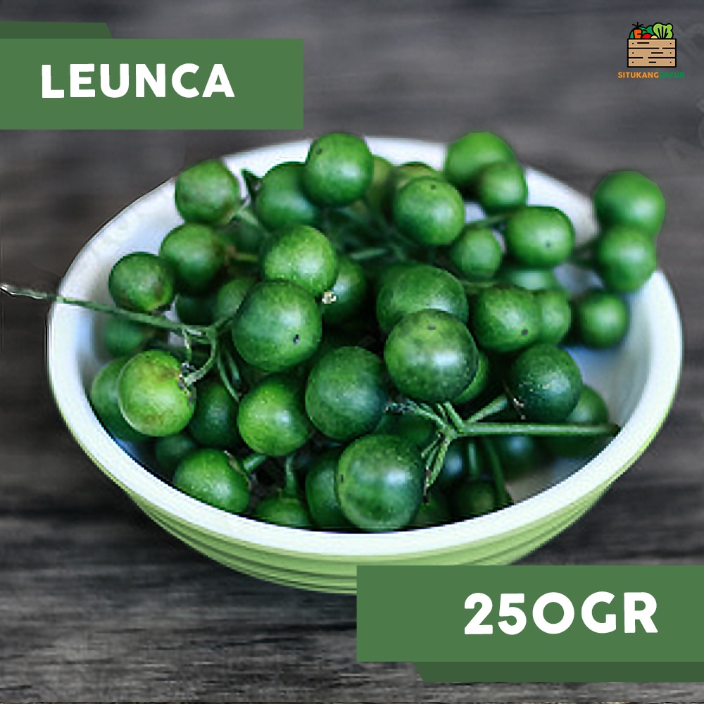 

Leunca | 250gr (Kota Bandung & Sekitar)
