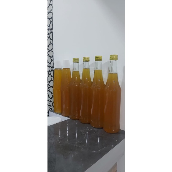 

TEA KOMBUCHA